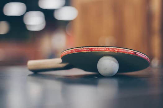casino-business-support