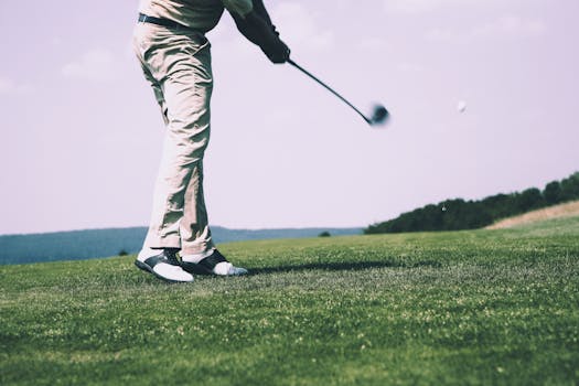 https://images.pexels.com/photos/654321/pexels-photo-654321.jpeg