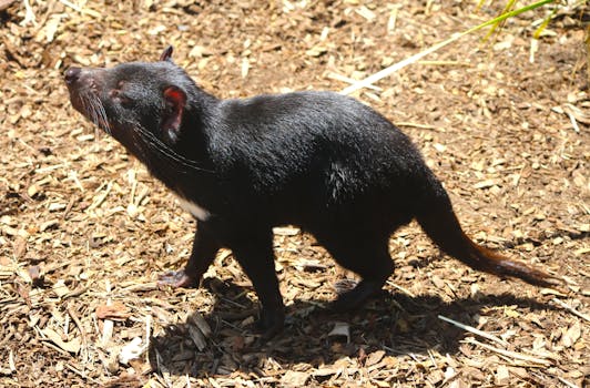 european_bank_interior