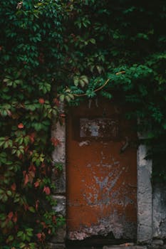 {fintech_laina_kuva}