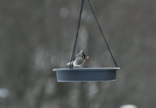 {visual_scene_of_responsible_gambling}