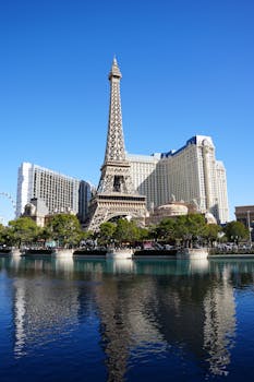 international_travelers