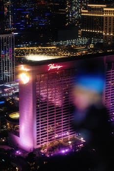 casino_gambling_experience