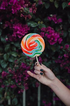 https://images.pexels.com/photos/167377/pexels-photo-167377.jpeg