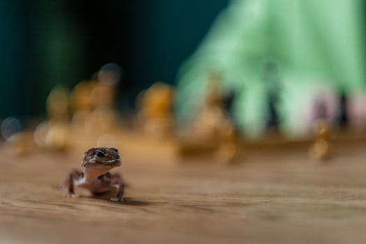 financial-transaction-stock-photo