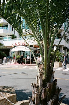 casino finance comparison