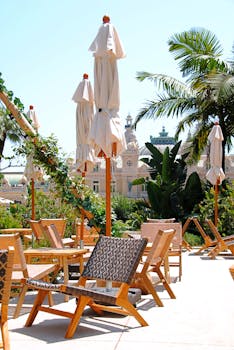 {visualize_coin_and_documents}