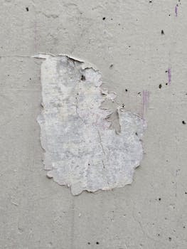 online-application-process