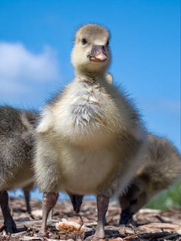 computer-security-setup