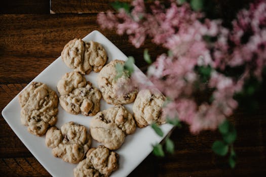 https://images.pexels.com/photos/3183197/pexels-photo-3183197.jpeg