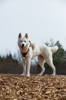 secure login process