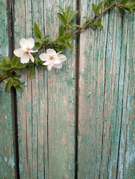 Ray Kasino Lappeenranta: Kasino Ja Pelipalvelut Lappeenrannassa