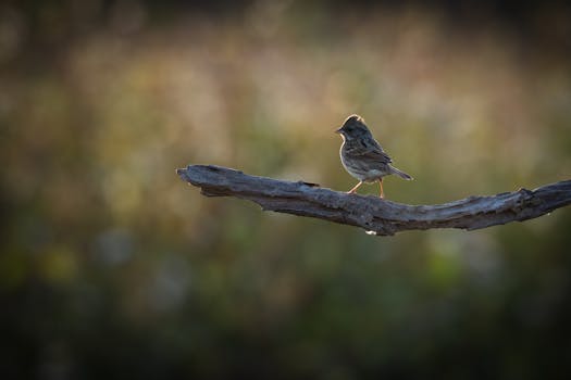 digital authentication methods