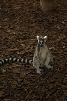 real_estate_transaction